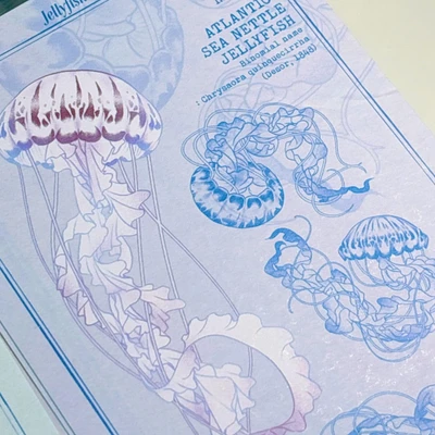 (Postcard) Modabi's ocean illustrated guide postcard