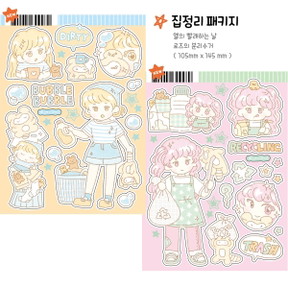 집정리 패키지