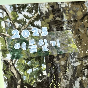 🩵 [상어와 여름체] 하늘색 🦈