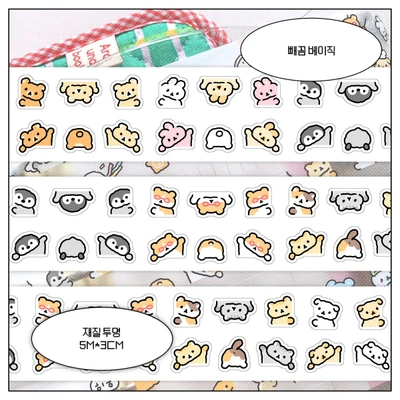3CM투명키스컷모음