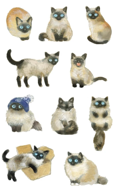 샴고양이 스티커