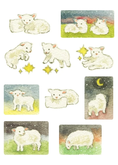 밤과 양 스티커