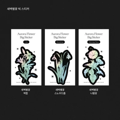 새벽별꽃 빅 스티커
