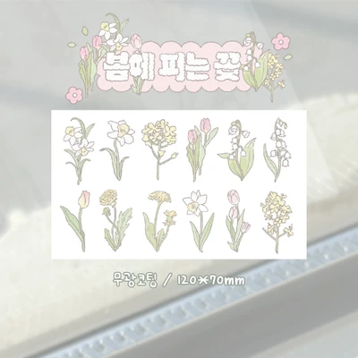봄에 피는 꽃