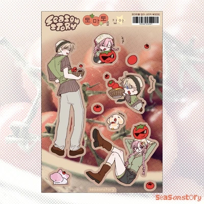 [토마토] 모아보기