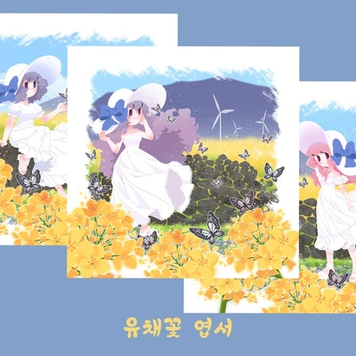 유채꽃 엽서