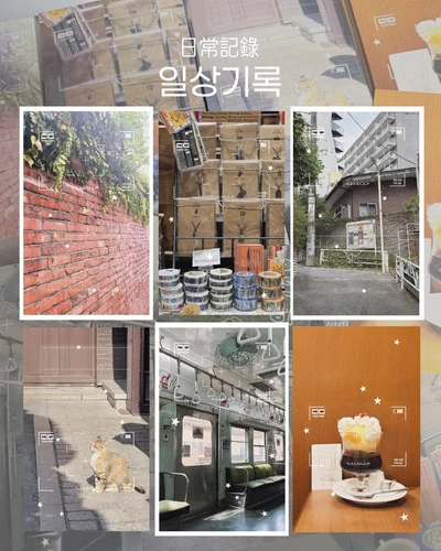일상기록 배경모조지팩