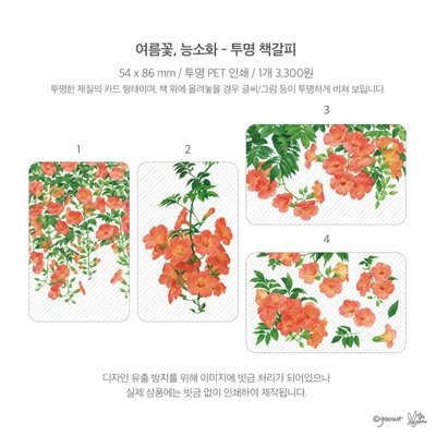 ★여름꽃, 능소화 투명 책갈피 4종