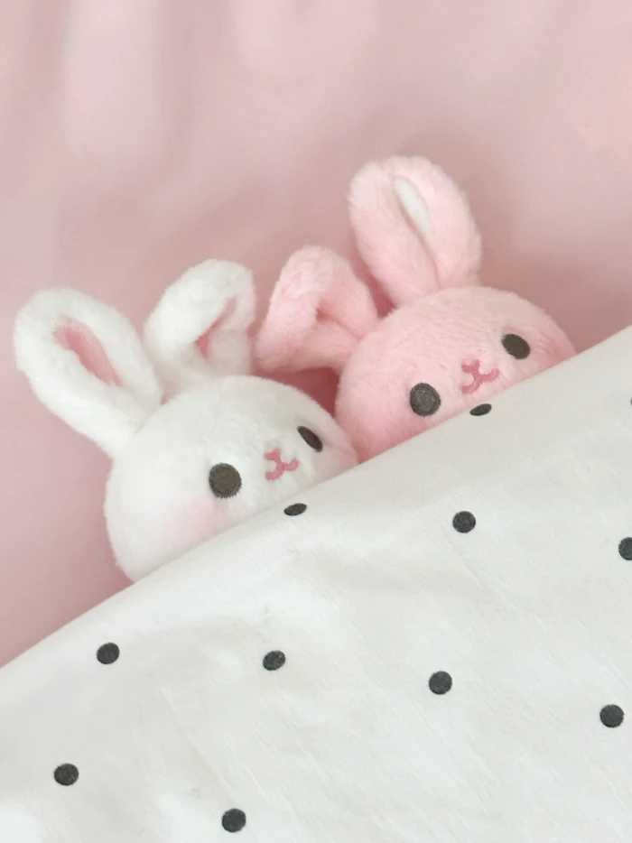 앙고라로라 서일페 뒷풀이 여름 마켓