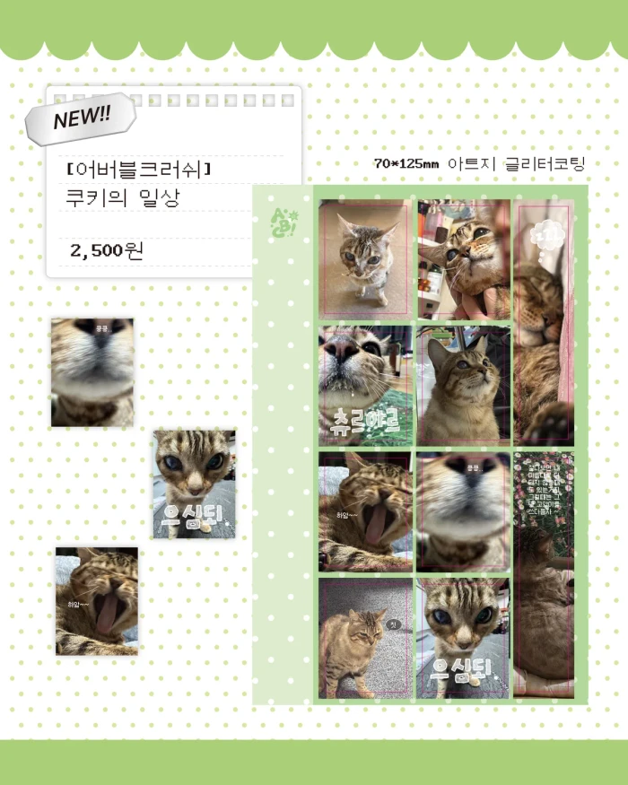 어버블크러쉬 서일코at양재 뒷풀이 통판