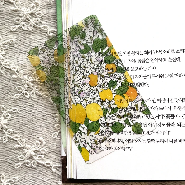 나의 작은 식물원 k일페 뒤풀이 마켓
