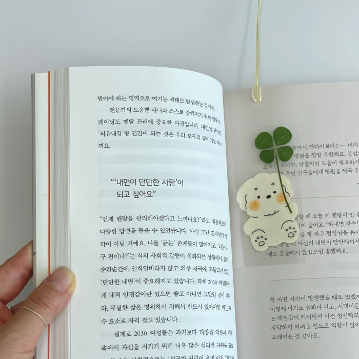 댕댕백과 상시 마켓