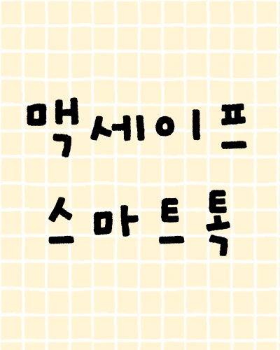 맥세이프 스마트톡