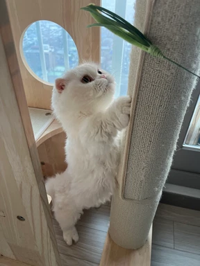 opp 최소화