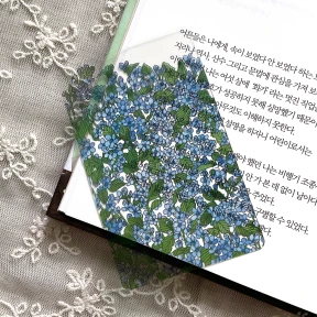 레몬, 블루스타 투명 책갈피