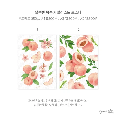 ★복숭아 일러스트 포스터(A4/A3/A2)