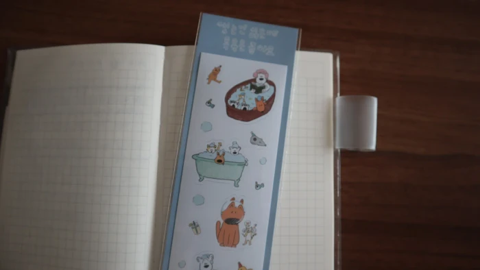 여름엔 집에만 있어야지 문베어 8월 마켓