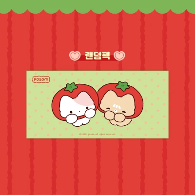 🎁 랜덤팩