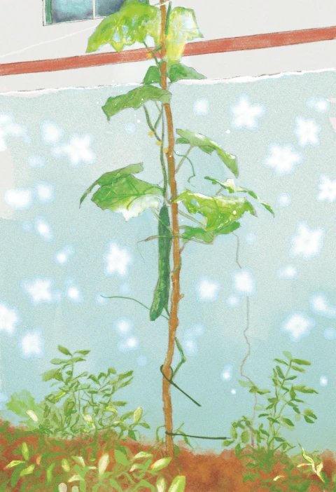 케일페 부산 뒷풀이 마켓