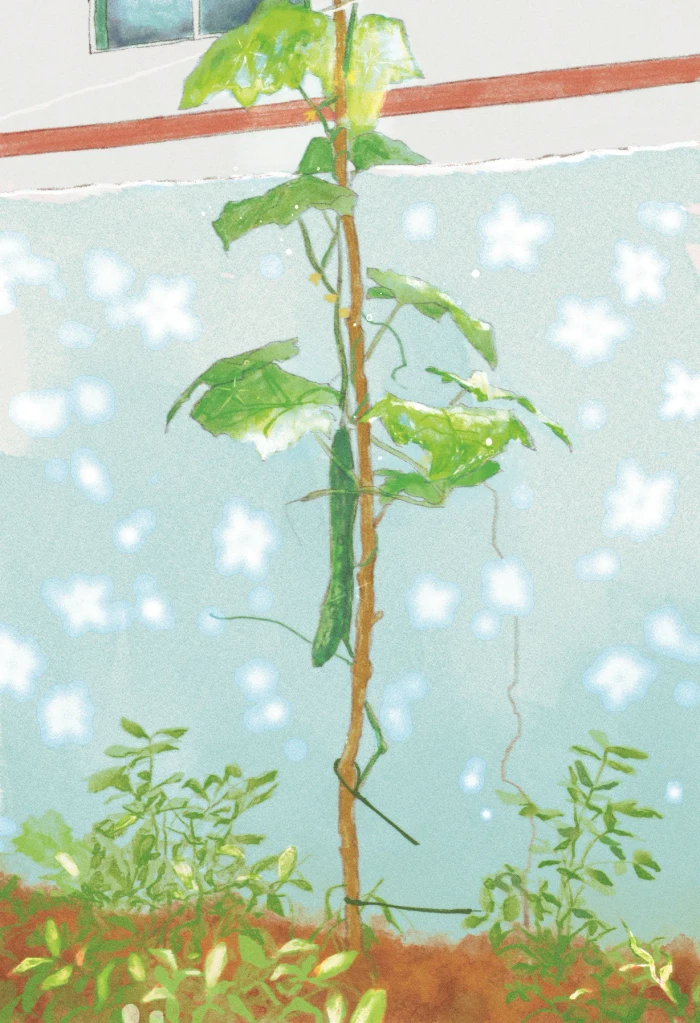 케일페 부산 뒷풀이 마켓