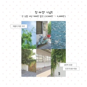 ☘️ 여름이 머문 자리