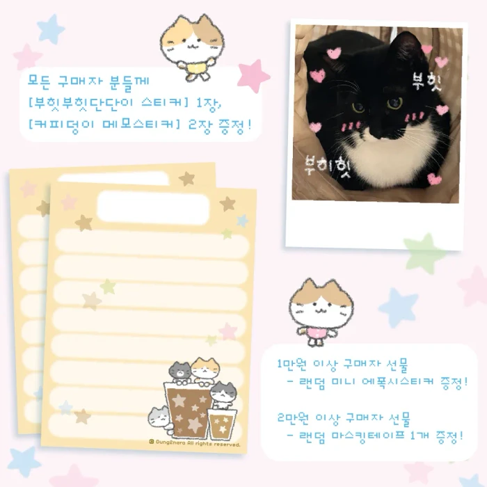 덩이나라 서일페 온라인 마켓
