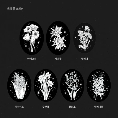 백의 꽃 스티커