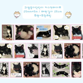 ✨NEW✨ 귀염둥이단단이 키스컷테이프