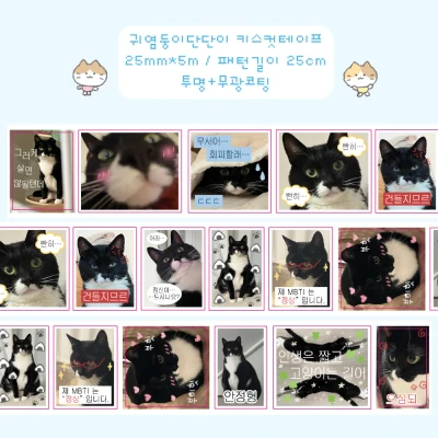 ✨NEW✨ 귀염둥이단단이 키스컷테이프
