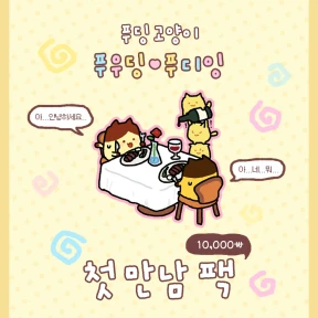 푸딩 고양이 첫 만남 가성비 팩