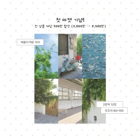 ❗️B급 여름이 머문 자리