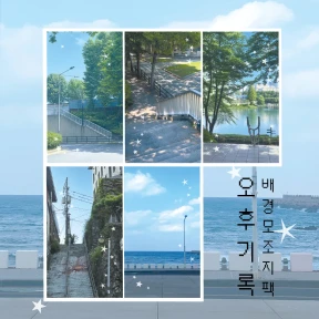 (서일페신상)오후기록 배경모조지팩