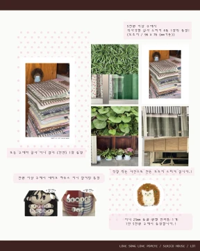주문시 5,000원 이상! 증정해드리는 덤과 금액대 별 증정입니다!