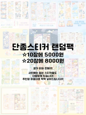 파격 랜덤팩