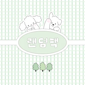 랜덤팩