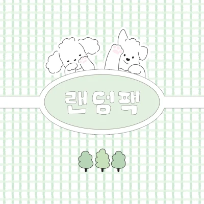 랜덤팩