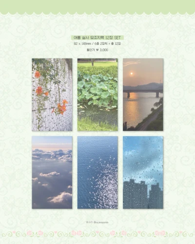 여름 실사 모조지팩 12장 SET
