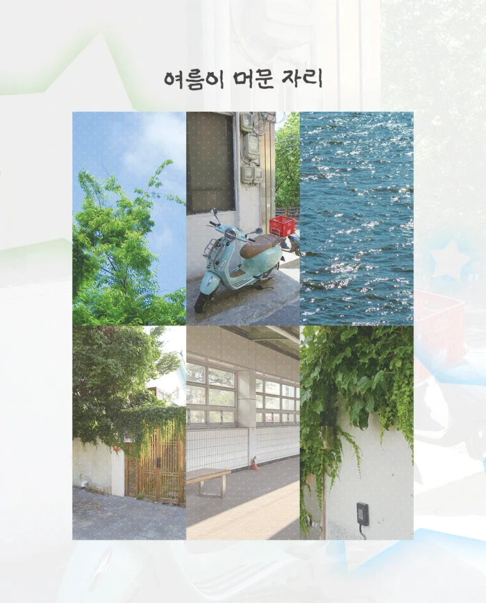 모몽 8월 통판 마켓
