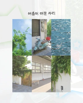 🌿 여름이 머문 자리 · 모조지팩 B급 [한정수량]