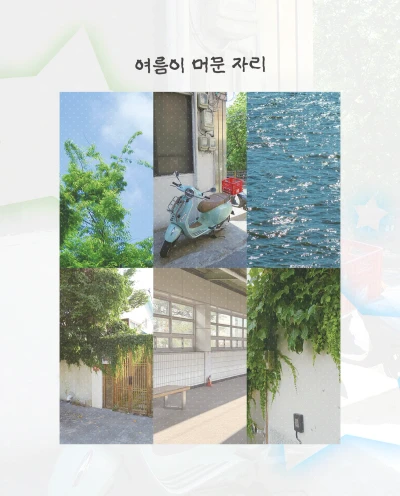 🌿 여름이 머문 자리 · 모조지팩 B급 [한정수량]