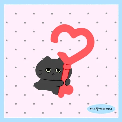 B급 아크릴 카라비너 1종