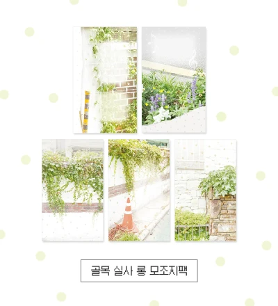 [신상]골목 실사 롱 모조지 팩