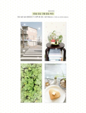 특전 안내