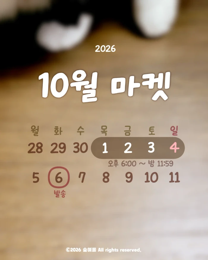 10월 마켓