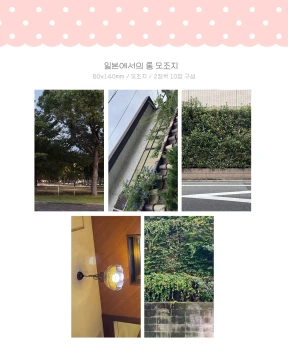 일본에서의 롱 모조지