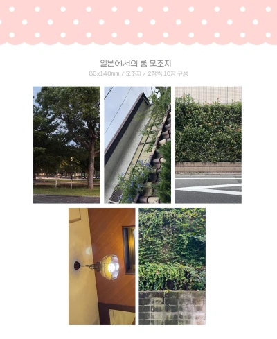 일본에서의 롱 모조지