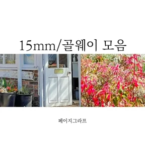 15mm_골웨이 모음 마스킹테이프