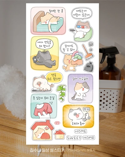 집수니 일상 