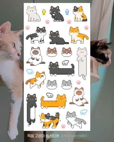 픽셀 고양이 