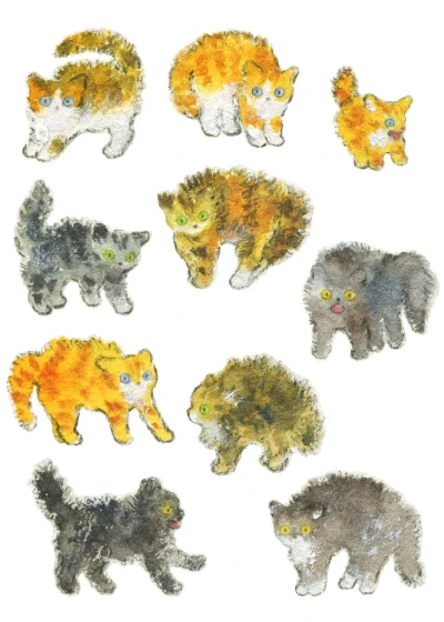 털세운 고양이